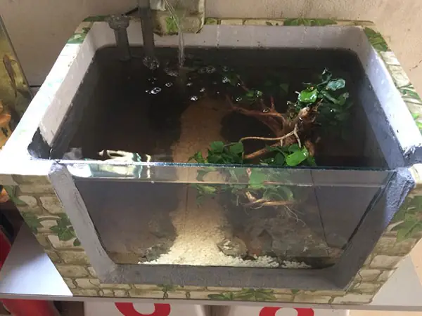 làm hồ cá bằng thùng xốp