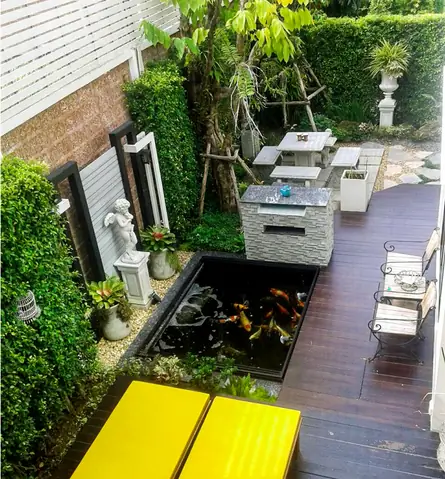 Hướng Dẫn Chi Tiết Cách Làm Hồ Cá Tại Nhà Đẹp & Bền Vững