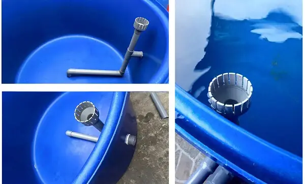 Hướng Dẫn Chi Tiết Cách Làm Lọc Hồ Cá Koi Hiệu Quả Tại Nhà