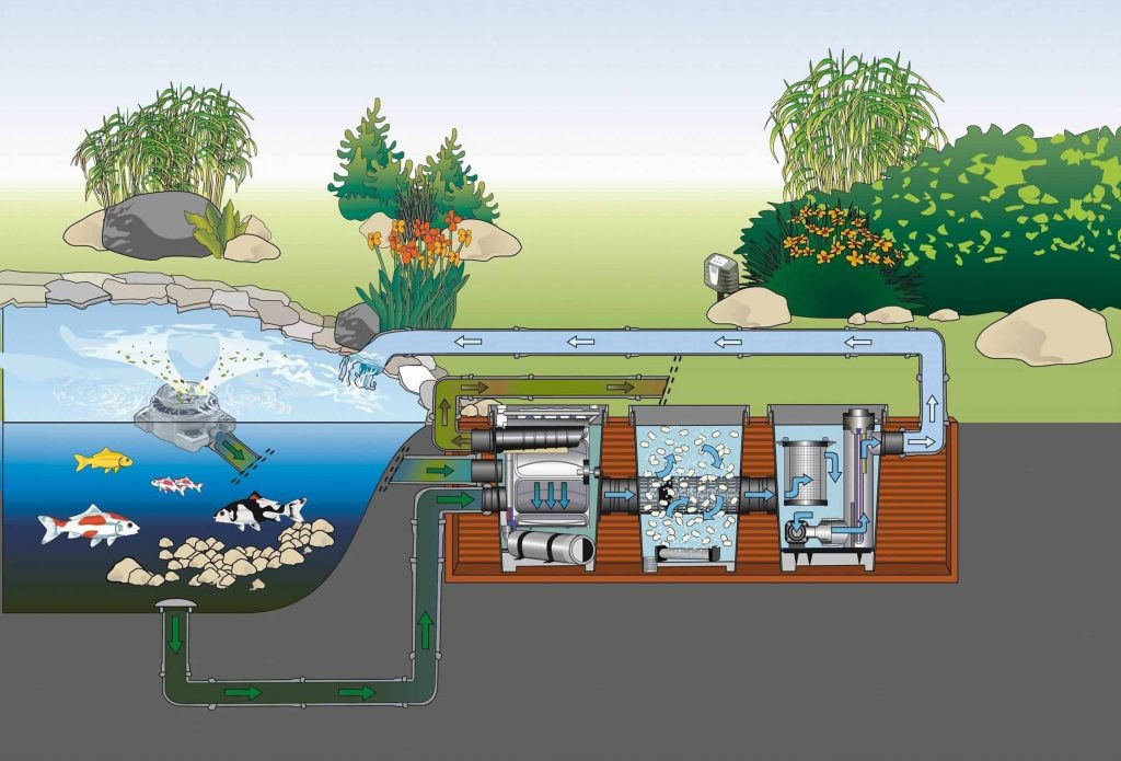 Lắp đặt hệ thống lọc nước cho bể cá cảnh sân vườn nhỏ