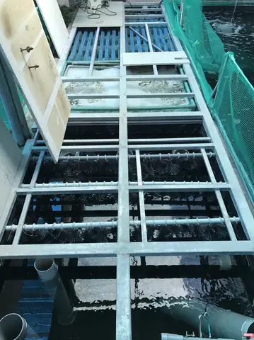 Hướng Dẫn Chi Tiết Cách Lắp Đèn Hồ Cá Hiệu Quả