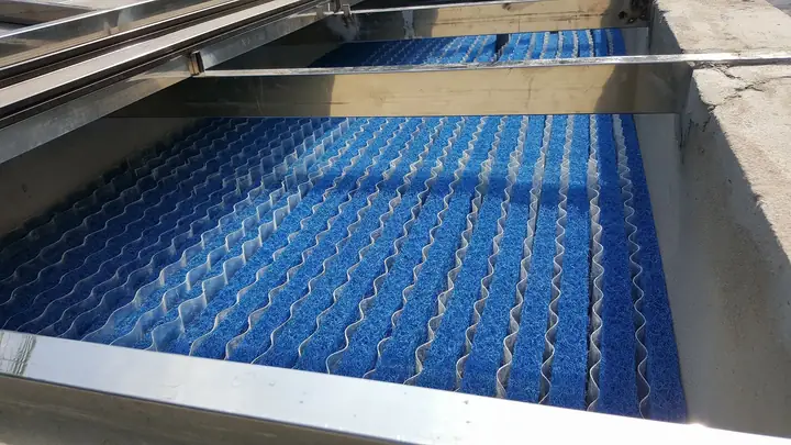 Hướng Dẫn Chi Tiết Cách Lắp Đèn Hồ Cá Hiệu Quả