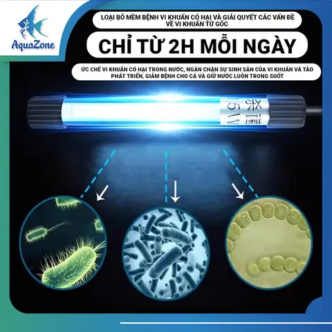 Lắp Đèn UV Cho Hồ Cá: Hướng Dẫn Toàn Diện & Hiệu Quả