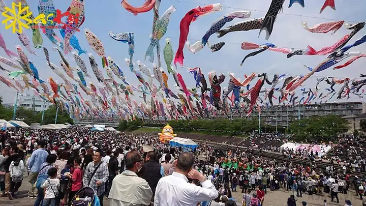 Lễ hội Cá Chép Nhật Bản (Koinobori Matsuri): Nguồn Gốc và Ý Nghĩa