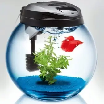 Lọc Bể Cá Tròn: Hướng Dẫn Toàn Diện Từ Lựa Chọn Đến Lắp Đặt Hiệu Quả