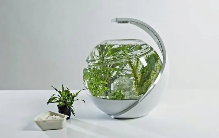 Lọc Bể Cá Tròn: Hướng Dẫn Toàn Diện Từ Lựa Chọn Đến Lắp Đặt Hiệu Quả