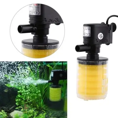 Lọc Bể Cá Tròn: Hướng Dẫn Toàn Diện Từ Lựa Chọn Đến Lắp Đặt Hiệu Quả