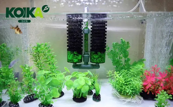 lọc bể cá tự chế