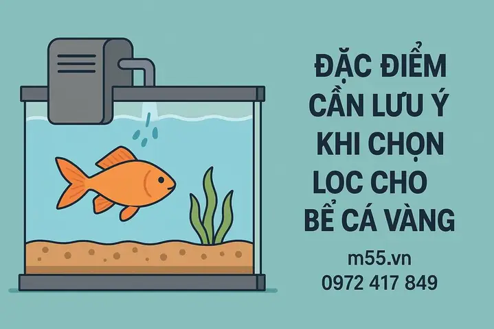 Hệ Thống Lọc Bể Cá Vàng: Từ Nguyên Lý Đến Lựa Chọn Tối Ưu