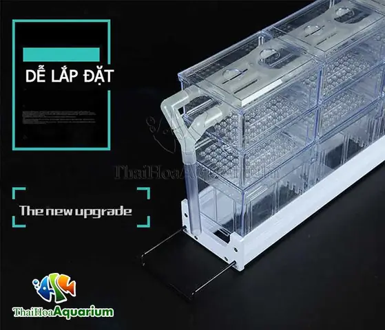Lọc Máng Bể Cá: Hướng Dẫn Toàn Diện Từ A Đến Z