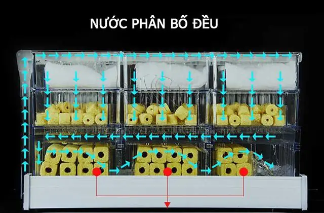 Lọc Máng Bể Cá: Hướng Dẫn Toàn Diện Từ A Đến Z