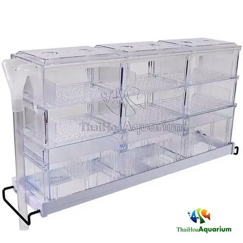 Lọc Máng Bể Cá: Hướng Dẫn Toàn Diện Từ A Đến Z