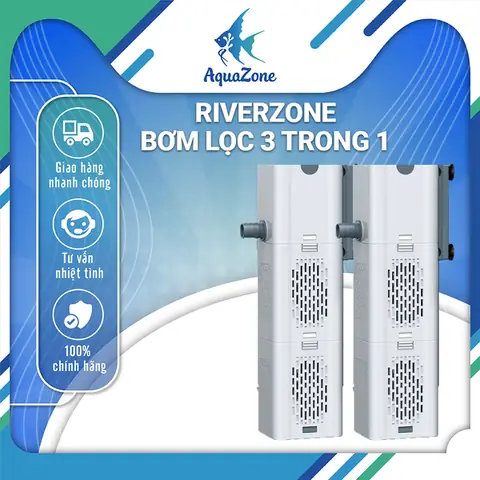 Hướng Dẫn Lọc Oxy Hồ Cá Hiệu Quả Với Máy Bơm Và Các Phương Pháp Khác
