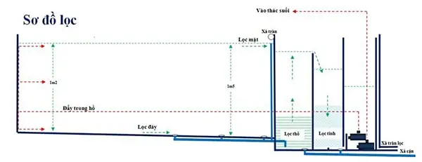 Hệ Thống Lọc Thô Hồ Cá: Chuyên Gia Chia Sẻ Kinh Nghiệm Thực Tế