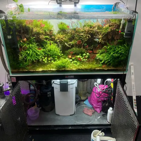 lọc thùng bể cá
