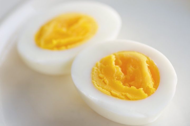 Lòng đỏ trứng luộc đã nghiền mịn sẵn sàng cho cá con ăn