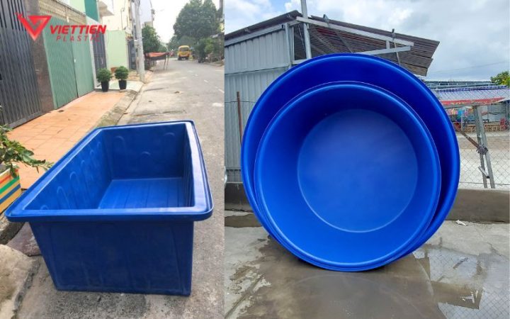 Lựa chọn thùng nhựa phù hợp để nuôi cá cảnh