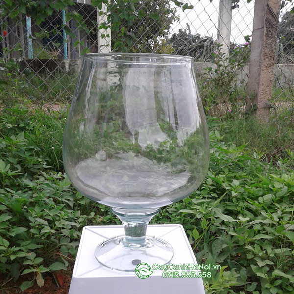 Ly nuôi cá cảnh dáng cao, tạo điểm nhấn độc đáo cho không gian.