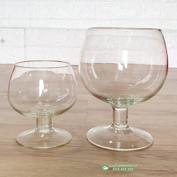 Ly nuôi cá cảnh nhiều kiểu dáng được trưng bày để lựa chọn.