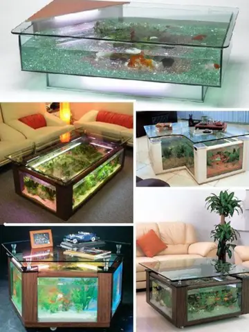 mạng thủy nuôi cá gì