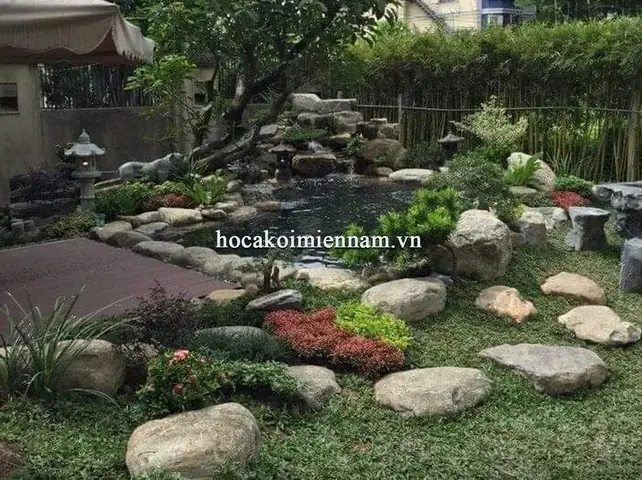 Mặt Bằng Hồ Cá Koi: Hướng Dẫn Thiết Kế Tối Ưu