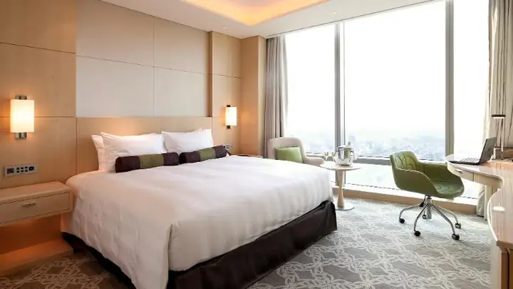 Mật độ Cá trong Bể: Hướng Dẫn Chi Tiết Cách Tính Khoa Học