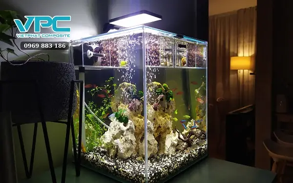 Mật độ nuôi cá 7 màu: Hướng dẫn chi tiết cho bể cá khỏe mạnh Mật độ nuôi cá 7 màu: Hướng dẫn chi tiết cho bể cá khỏe mạnh