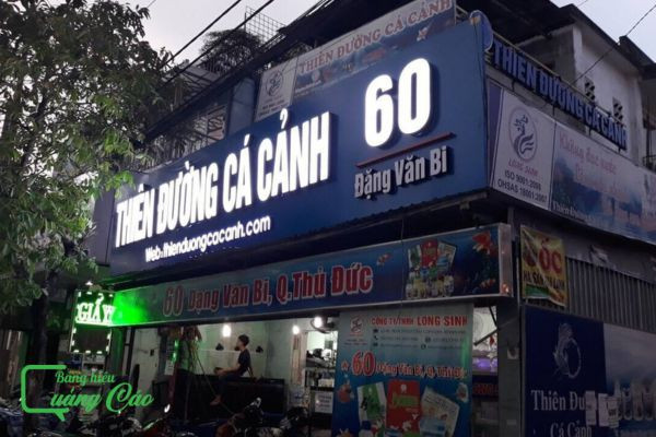 Mẫu bảng hiệu hộp đèn xuyên sáng với hình ảnh cá chép cảnh, tạo điểm nhấn nghệ thuật
