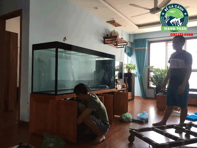Khám phá 20+ Mẫu Bể Cá Cảnh Đẹp & Độc Đáo cho Mọi Không Gian Khám phá 20+ Mẫu Bể Cá Cảnh Đẹp & Độc Đáo cho Mọi Không Gian