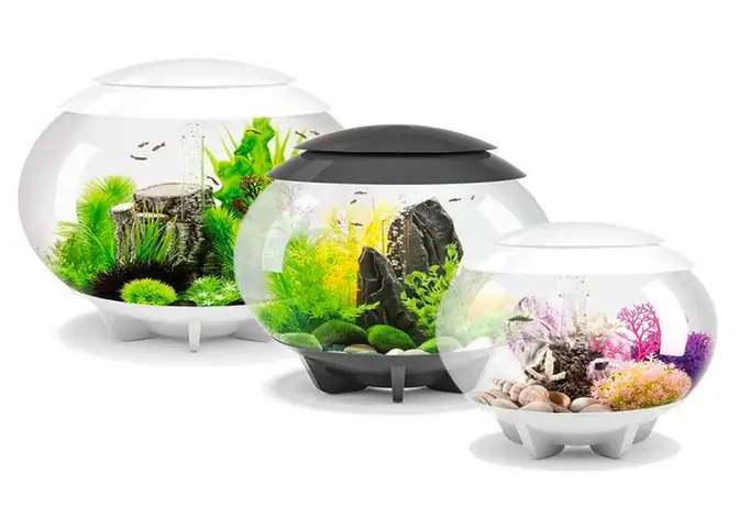 2.8 Bể cá để bàn làm việc 3 in 1 hình tròn