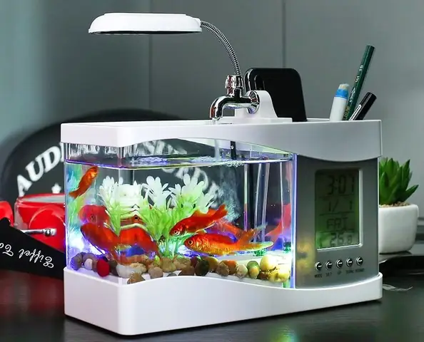 2.2 Bể cá mini để bàn 3 trong 1