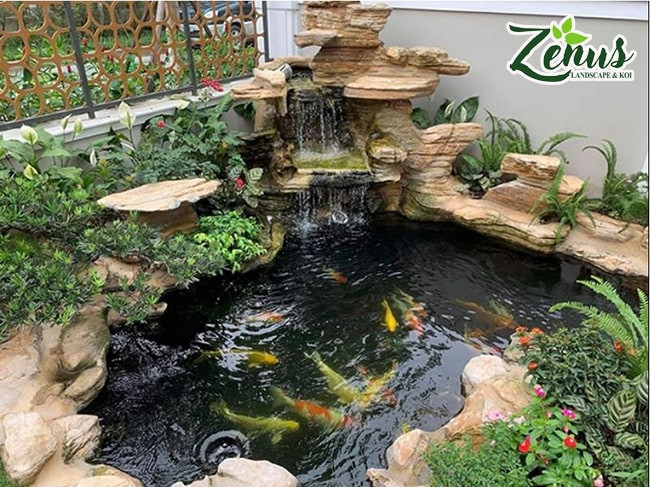 Mẫu hồ cá cảnh ngoài trời phong thủy đẹp và hiện đại