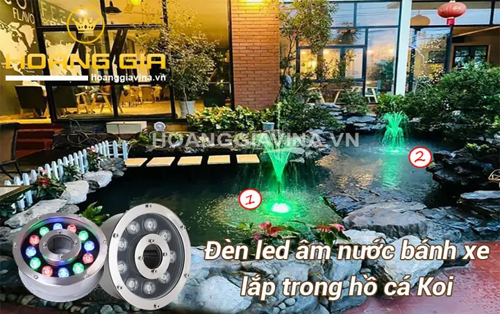 mẫu hồ cá đẹp ngoài trời