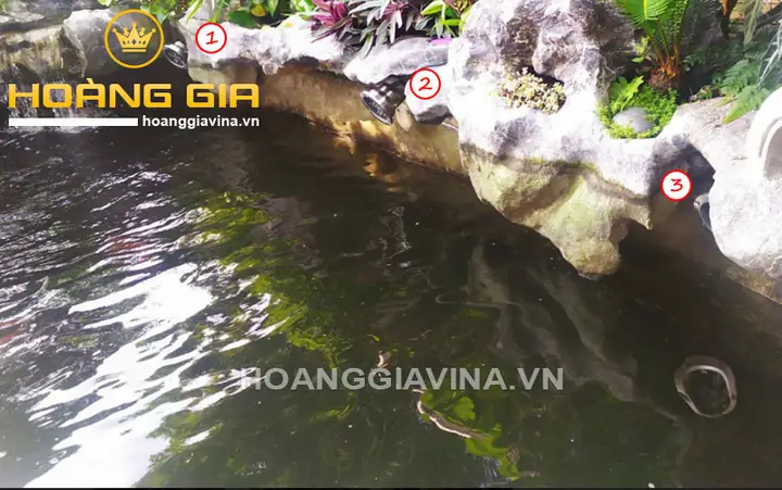 mẫu hồ cá đẹp ngoài trời
