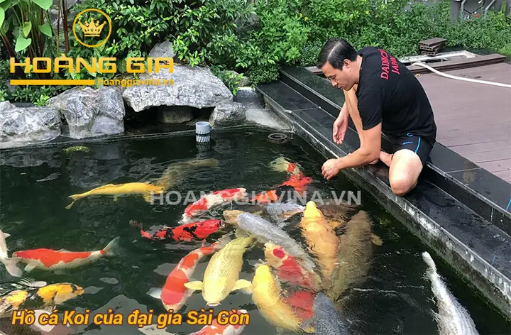 mẫu hồ cá đẹp ngoài trời