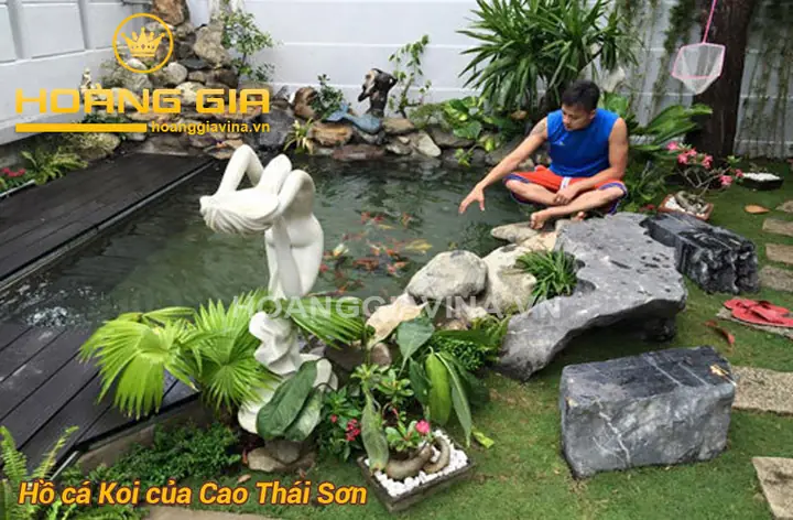 mẫu hồ cá đẹp ngoài trời