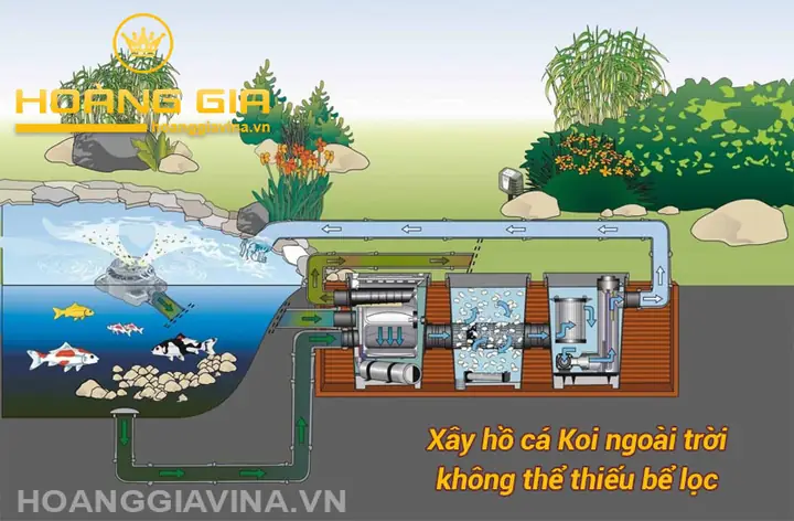 mẫu hồ cá đẹp ngoài trời