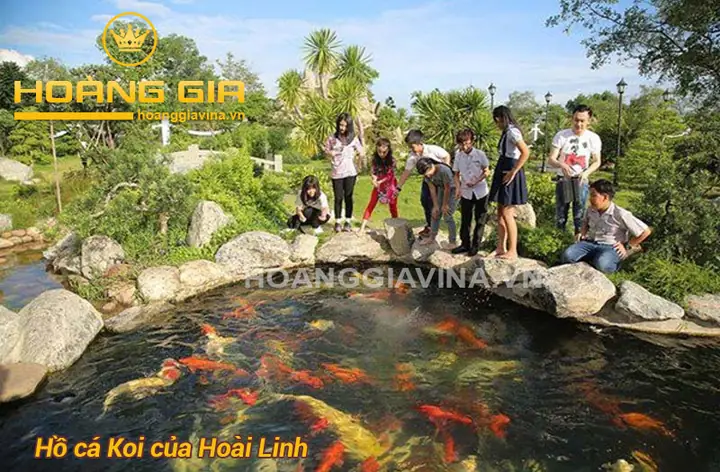 Mẫu Hồ Cá Koi Ngoài Trời: Hướng Dẫn Thiết Kế Đẹp & Chuẩn Phong Thủy Mẫu Hồ Cá Koi Ngoài Trời: Hướng Dẫn Thiết Kế Đẹp & Chuẩn Phong Thủy