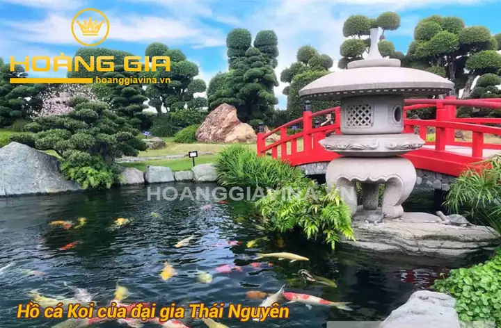 Mẫu Hồ Cá Koi Ngoài Trời: Hướng Dẫn Thiết Kế Đẹp & Chuẩn Phong Thủy Mẫu Hồ Cá Koi Ngoài Trời: Hướng Dẫn Thiết Kế Đẹp & Chuẩn Phong Thủy