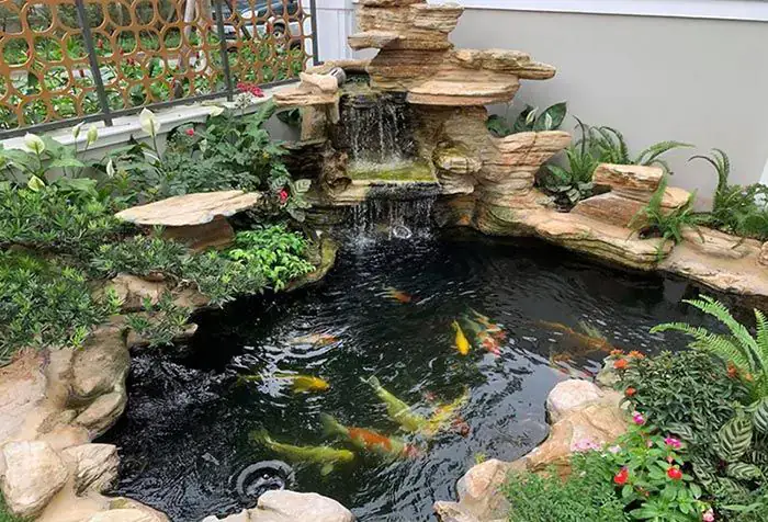 mẫu hồ cá mini đẹp