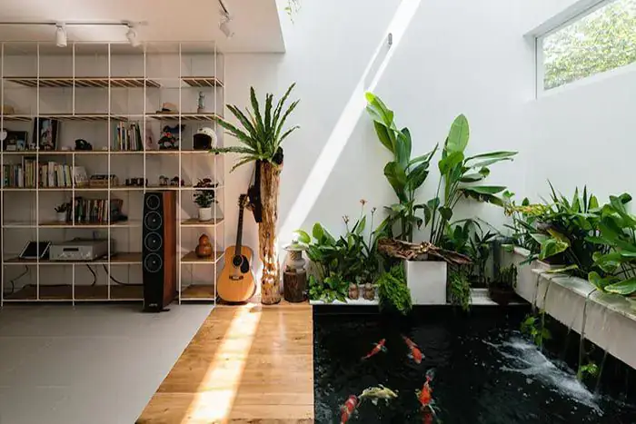 mẫu hồ cá mini đẹp