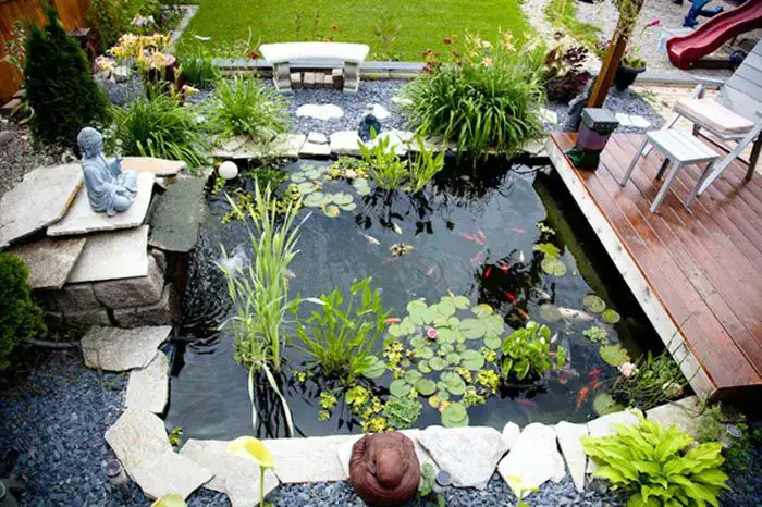 mẫu hồ cá mini đẹp