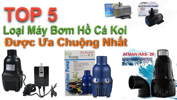 Hướng Dẫn Chọn Máy Bơm Bể Cá Hải Phòng Hiệu Quả Nhất