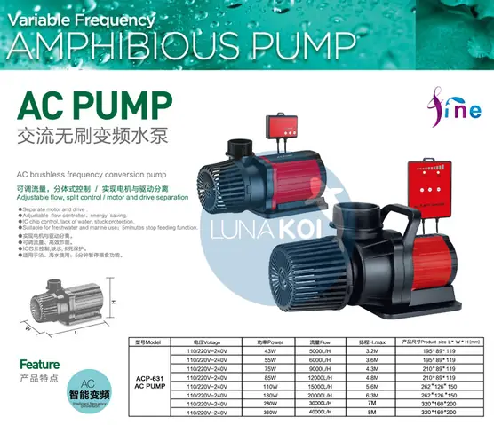Hướng Dẫn Chi Tiết Chọn Máy Bơm Chìm Cho Hồ Cá Koi Hiệu Quả