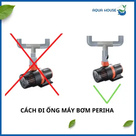 máy bơm hồ cá koi
