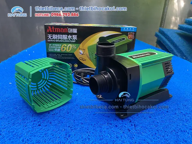 Hướng Dẫn Chọn Máy Bơm Hồ Cá Rồng Hiệu Quả Nhất