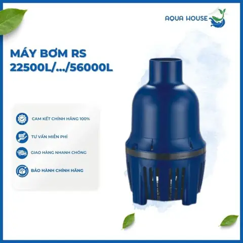 1. Máy Bơm RS – Giải Pháp Đáng Tin Cậy Cho Hồ Koi và Cảnh Quan
