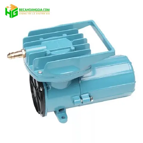 Hướng Dẫn Chọn Và Sử Dụng Máy Bơm Oxy Hồ Cá 12V Hiệu Quả
