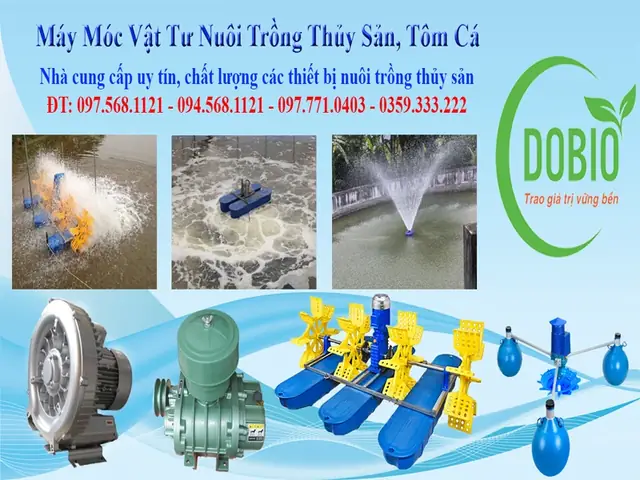 máy cho cá ăn tự động