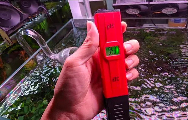 máy đo ph nước hồ cá